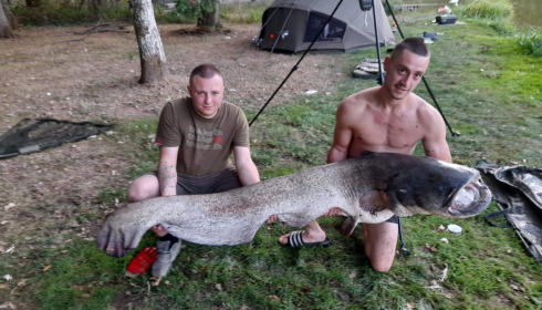 A catfish from Cailleaux, beeland, Sep 2020