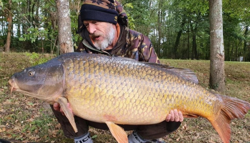 A carp from Cailleaux, a, Oct 2020