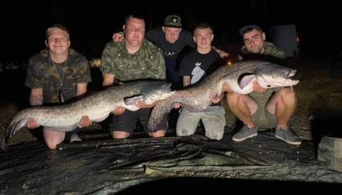 A 55 lb catfish from Cailleaux, radford 2 *55lb, Aug 2020