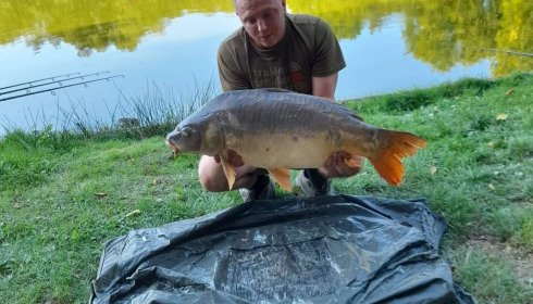 A carp from Cailleaux, beeland, Sep 2020