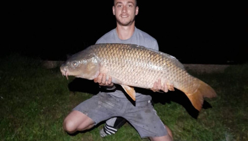 A carp from Cailleaux, beeland, Sep 2020