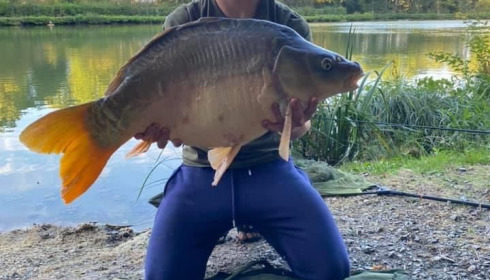 A carp from Cailleaux, radford, Aug 2020