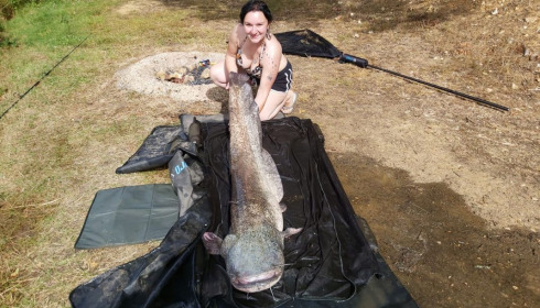 A catfish from Cailleaux, giran, Sep 2020