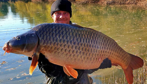 A carp from Evaro, Dec 2020