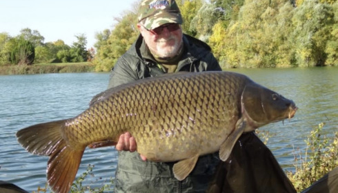A carp from Evaro, Oct 2020
