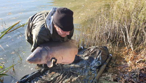A carp from Evaro, Dec 2020