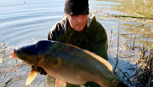 A carp from Evaro, Dec 2020