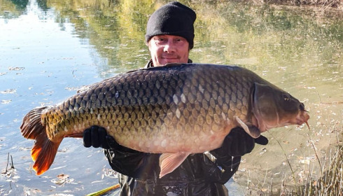 A carp from Evaro, Dec 2020