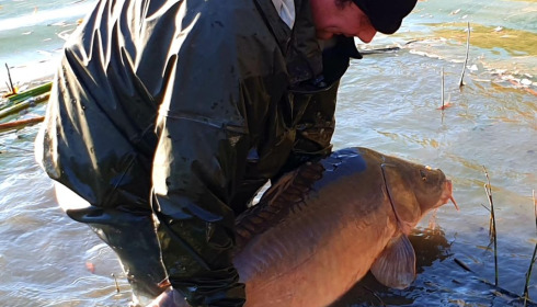 A carp from Evaro, Dec 2020