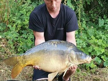 A carp from Evaro, ., Aug 2020