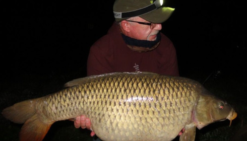 A carp from Evaro, Oct 2020