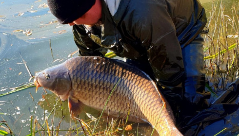 A carp from Evaro, Dec 2020
