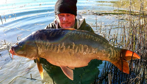A carp from Evaro, Dec 2020
