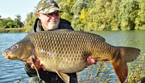 A carp from Evaro, Oct 2020