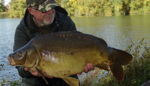 A carp from Evaro, Oct 2020