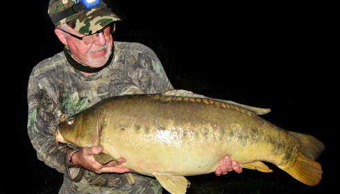 A carp from Evaro, Oct 2020