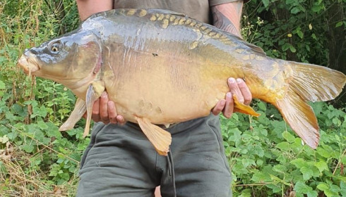 A carp from Evaro, ., Aug 2020