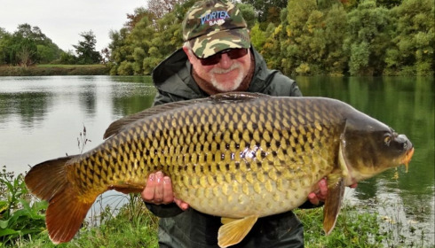 A carp from Evaro, Oct 2020