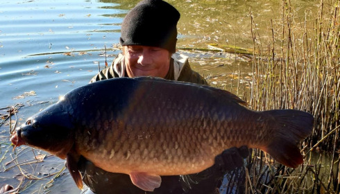 A carp from Evaro, Dec 2020