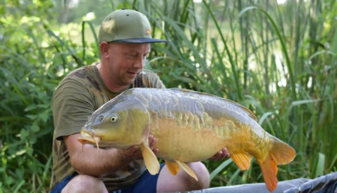 A carp from Jonchery 7, Aug 2020