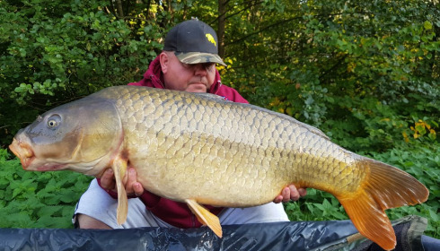 A 53 lb fish from Jonchery 7, common carp, Sep 2020