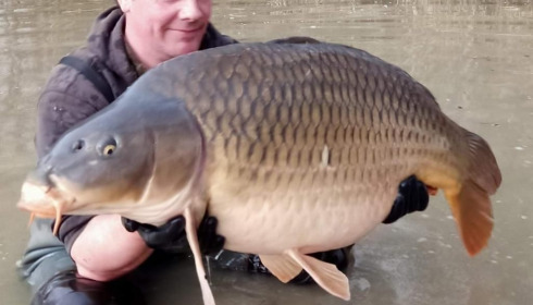 A carp from Jonchery 8, Feb 2021