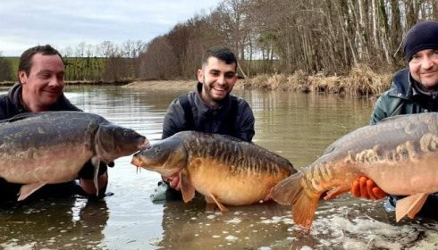 A carp from Jonchery 8, Feb 2021
