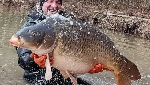 A carp from Jonchery 8, Feb 2021