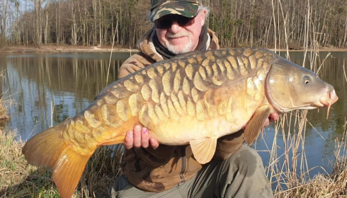 A carp from Jonchery 8, Feb 2021