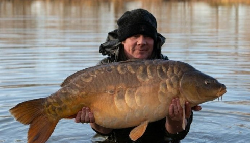 A carp from Jonchery, Dec 2020