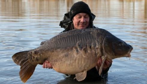 A carp from Jonchery, Dec 2020
