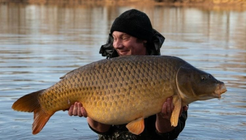 A carp from Jonchery, Dec 2020