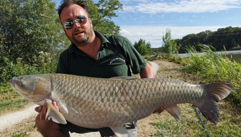 A fish from Jonchery, Grassy, Jul 2020