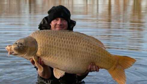 A carp from Jonchery, Dec 2020
