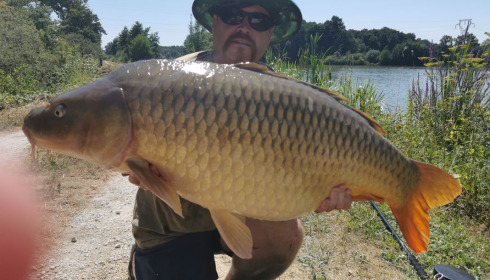 A fish from Jonchery, Mirror, Jul 2020