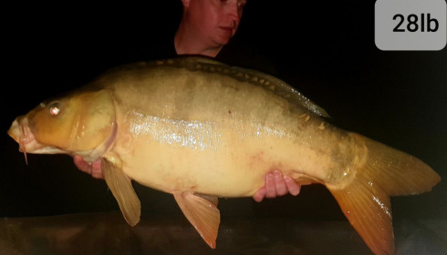 A carp from Landes, Mark Hoggins, Jul 2020
