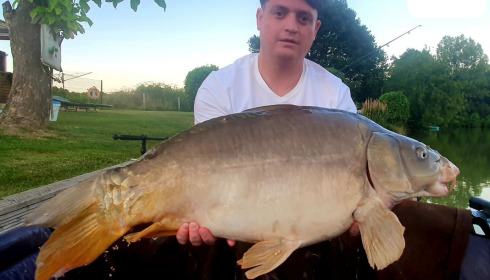 A carp from Landes, Mark Hoggins, Jul 2020