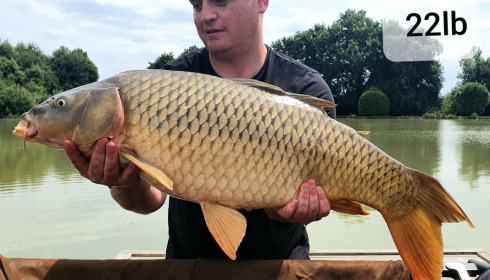 A carp from Landes, Mark Hoggins, Jul 2020