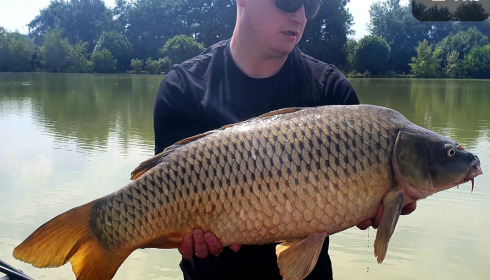 A carp from Landes, Mark Hoggins, Jul 2020