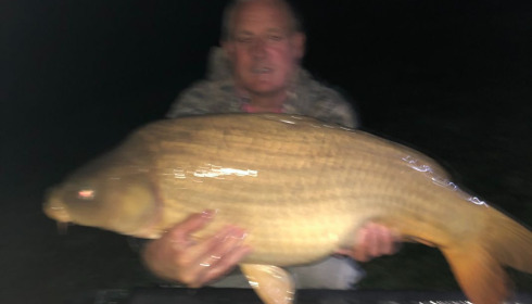 A carp from Landes, Mar 2021