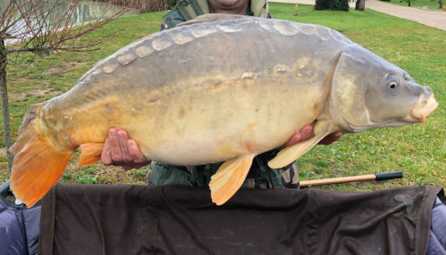 A 30 lb carp from Landes, Joe, Mar 2021