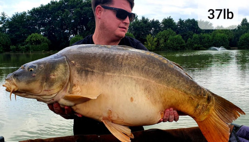 A carp from Landes, Mark Hoggins, Jul 2020