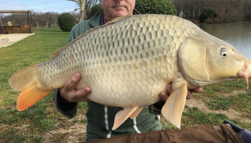 A carp from Landes, Mar 2021