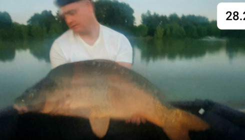 A carp from Landes, Mark Hoggins, Jul 2020
