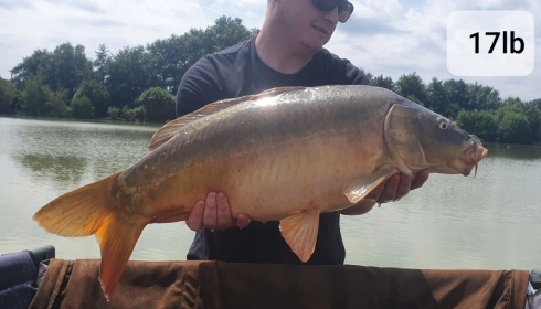 A carp from Landes, Mark Hoggins, Jul 2020