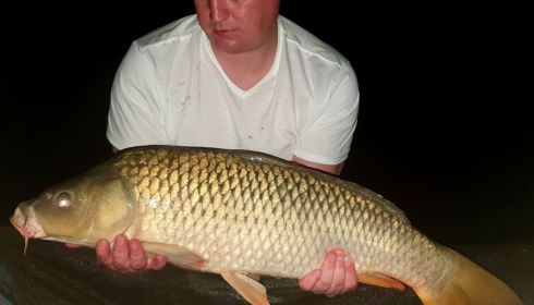 A carp from Landes, Mark Hoggins, Jul 2020