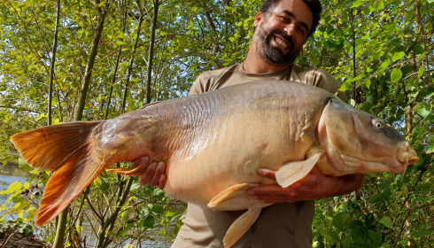 A 66 lb carp from Laroussi, Sep 2020