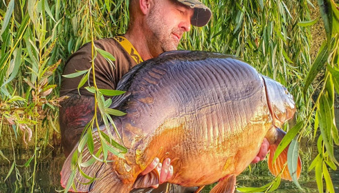 A carp from Laroussi, James Winnington, Aug 2020