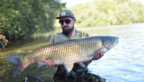 A 41 lb grass carp from Laroussi, Nicholas  Lowe, Aug 2020
