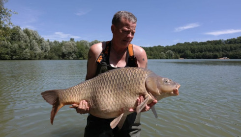 A fish from Lepinet North, ., Jul 2020